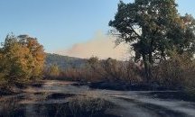 Човешка грешка е пожарът в Хасковско