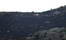 Горски пожари бушуват на два турски острова в Мраморно море, има пострадали