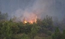 Сърбия обяви извънредно положение заради пожарите в Стара планина