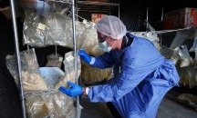 Стотици килограми дрога бяха конфискувани в Австралия и Нова Зеландия