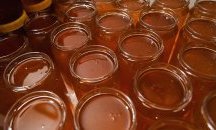 Пчелари алармират за 30% по-ниски добиви тази година