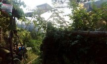 Откриха голяма наркооранжерия и незаконно оръжие в Костандово
