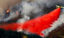 Масова евакуация на Канарските острови заради горски пожар