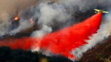 Масова евакуация на Канарските острови заради горски пожар