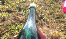 Отговор на писмо в бутилка връща американец в детството