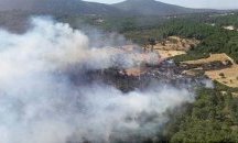 Частично са овладени горските пожари край турските градове Бодрум, Урла и Миляс
