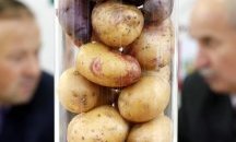 Македония ще иска обяснение от Косово заради забраната за внос на картофи и мед