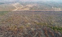 Президентът на Бразилия обвини НПО-та за пожарите в Амазония