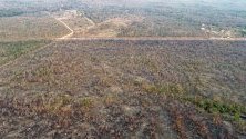 Огромна изгоряла площ от дъждовните гори по Амазонка в щата Мато Гросо, Бразилия. Множество пожари бушуват в региона, като увеличението им е с 84% спрямо миналата година.