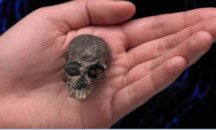 Млад българин разработи уникален за антропологията проект