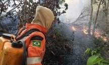 CNN: Повечето споделяни снимки от пожарите в Амазония са фалшиви или стари