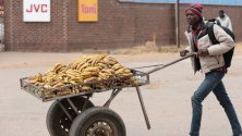 Младеж продава банани от количка в индустриалната зона на Хараре, Зимбабве. С главоломен ръст на безработицата и постоянно фалиращи компании, мнозина прибягват до собствени сили, за да осигуряват насъщния си.