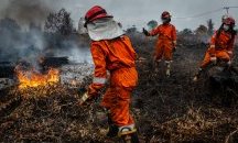 Над осем хиляди души се борят с горски пожари в Индонезия