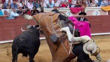 Битка между тореадор и бик в Куенка, Испания.