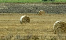 Ученик подпали 120 бали сено в Севлиево