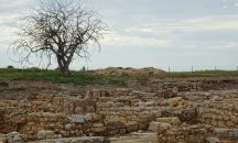 В Южна Франция откриха десетки древноримски гробове на бебета