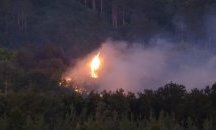 Овладяха пожара в горски масив край язовир Ястребино