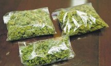 Македонската полиция разби наркогрупа за продажба на марихуана