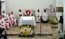 Папа Франциск в Мадагаскар: Островът е прекомерно обезлесен