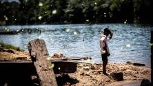 Дете от народа на тенхарините,щата Амазонас, Бразилия. Ако унищожаването на тропическите гори продължи със същите темпове, до 10-15 години мястото, на което те живеят днес, ще бъде изцяло обезлесено.