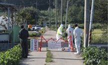 Първи случаи на африканска чума по свинете в Южна Корея
