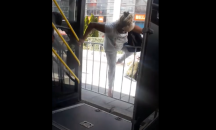 Куриоз: Столичани прескачат ограда, за да се качат в автобус на градския транспорт