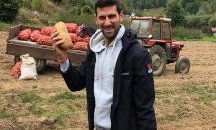 Как Джокович помага за ваденето на картофите