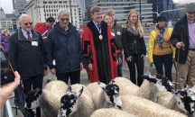 Овце традиционно преминаха по Лондонския мост