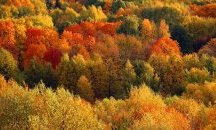 Очаква ни топъл уикенд