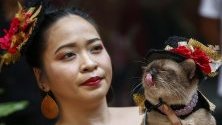 Котка със своя собственик позира по време на "MET Gala" събитие за животни във Филипините по повод Световния ден за защита на животните.