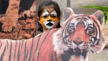 Дете с изрисувано лице позира до снимка по време на Седмицата на дивата природа в националния парк Ван Вихар в Индия.
