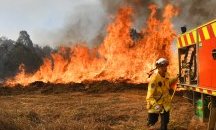 Пожар изпепели над 150 дка край Гоце Делчев