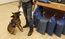 Полицията разби наркомрежа в Атина