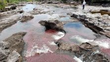 Река Кано Кристалес в Ла Макарена, Колумбия, известна като реката на седемте цвята. Достъпът до нея е ограничен заради водораслите, които съществуват единствено тук. Годишно се допускат само около 16 000 души.