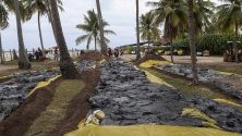Събран петрол, разлял се по плажа Карнейрос в щата Пернамбуко, Бразилия. Страната е пред екокатастрофа от два месеца заради доплуването на огромни петролни разливи по североизточното й крайбрежие.