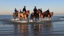 Участници в конните надбягвания Spring Racing Carnival в Алтона, Австралия, се разхождат по време на почивка.