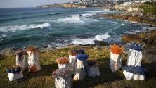 Скулптурата &quot;Морска градина&quot;, дело на Сали Портной, край Бонди Бийч в Сидни, Австралия. Тя е част от 23-тото издание на изложбата &quot;Скулптури край морето&quot;.