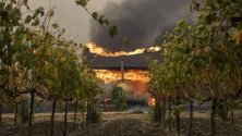 Винарна, обхваната от пламъци, край Гейсървил, Калифорния. Силните ветрове разпалват горските пожари в района и това принуди властите да започнат евакуация.