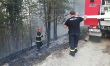 Пожар бушува в борова гора край Горно Краище
