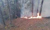 Пожарът в Рила е загасен, а този в Чипровския Балкан - овладян