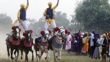 Сикхи от въоръжения орден на сикхите Ниханг показват ездачески умения върху четири тичащи коне по време на Деня на победата в Амритсар, Индия. Денят се чества след фестивала Дивали.