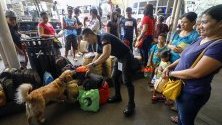 Полицай с обучено куче проверяват багажа на пътници на автогара в град Кезон, Филипини. Католиците в страната  се завръщат по родните си къщи за Деня на Вси светии.
