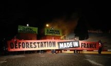 "Грийнпийс" блокира френска рафинерия за биогориво от палмово масло