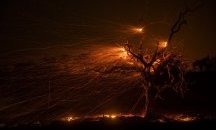Снимки на деня 30 октомври 2019