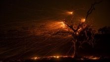 Силните ветрове разпалват горските пожари край Уиндзор, Калифорния.