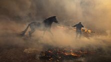 Ранчероси евакуират коне от горящо ранчо край Сими Вали, северно от Лос Анджелис, Калифорния.
