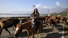 Членове на номадско семейство пренасят вещите си, напускайки долината на Шринагар - лятната столица на Кашмир. Всяка година номадите преминават хиляди километри към по-топли места, където да пасат стадата им.