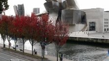 Обагрени с есенни листа дървета край музея &quot;Гугенхайм&quot; в Билбао.