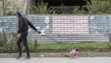 Молдовец разхожда кучето си пред плакати за втория тур на местни избори в Кишинев, Молдова.