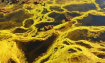 Откриха най-мъртвото място на планетата